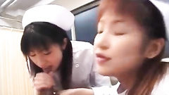 Naughty young nurses are training blowjob skills on patient